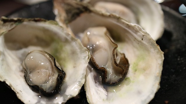 oyster