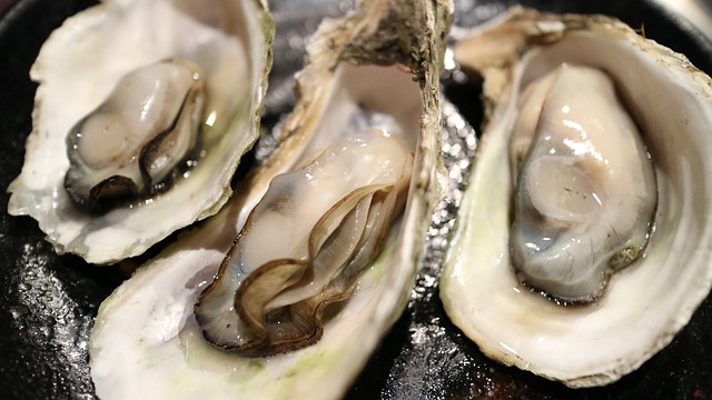 oysters