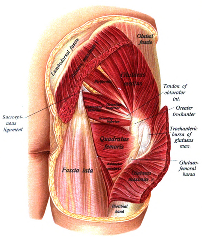 Muscle Pains