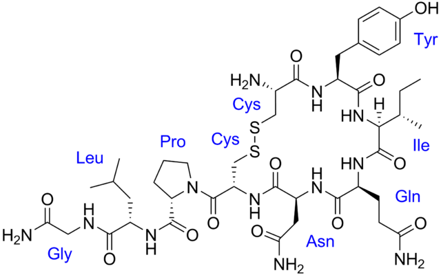 Oxytocin